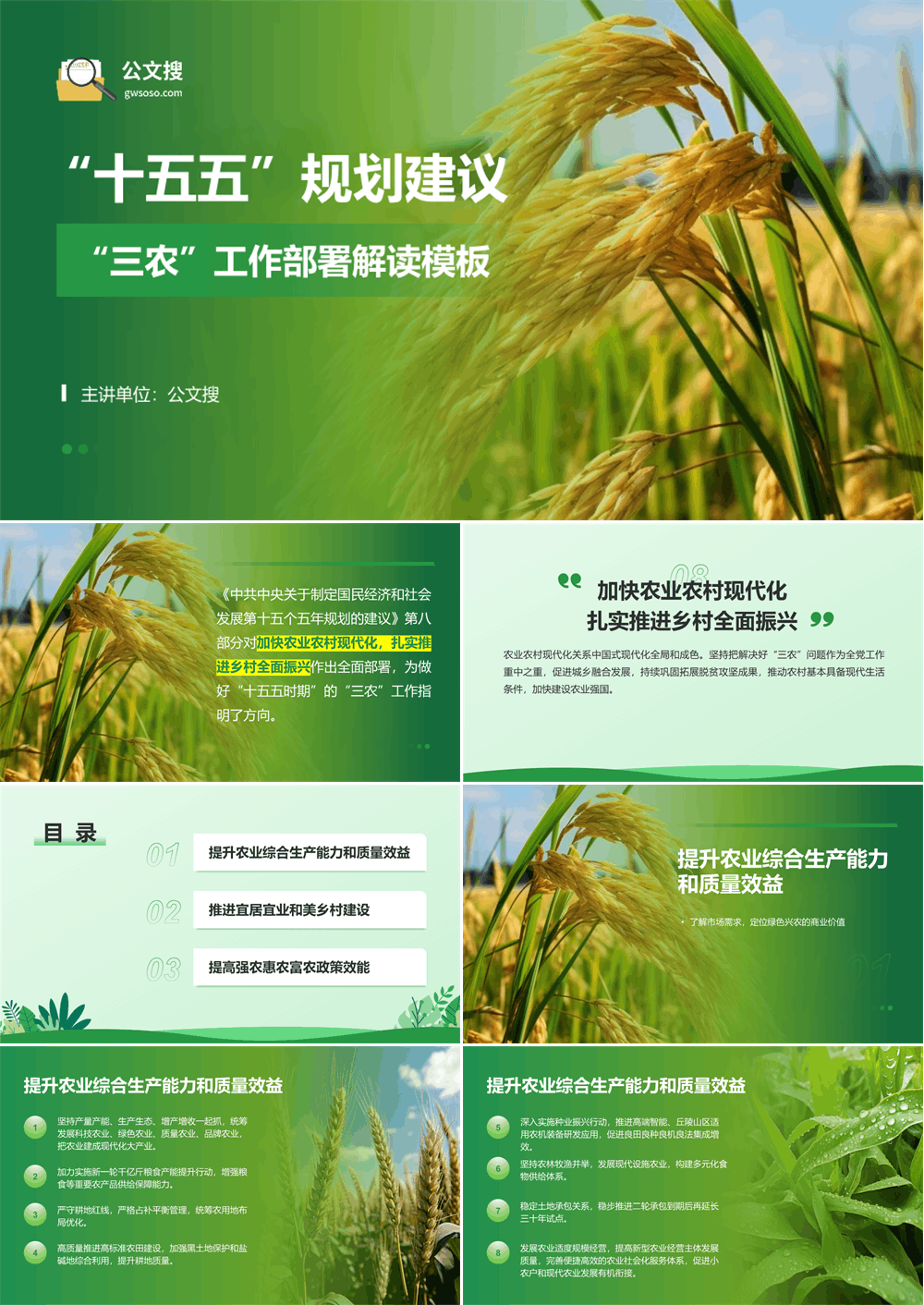 “十五五”规划建议三农工作部署解读模板PPT 第1张
