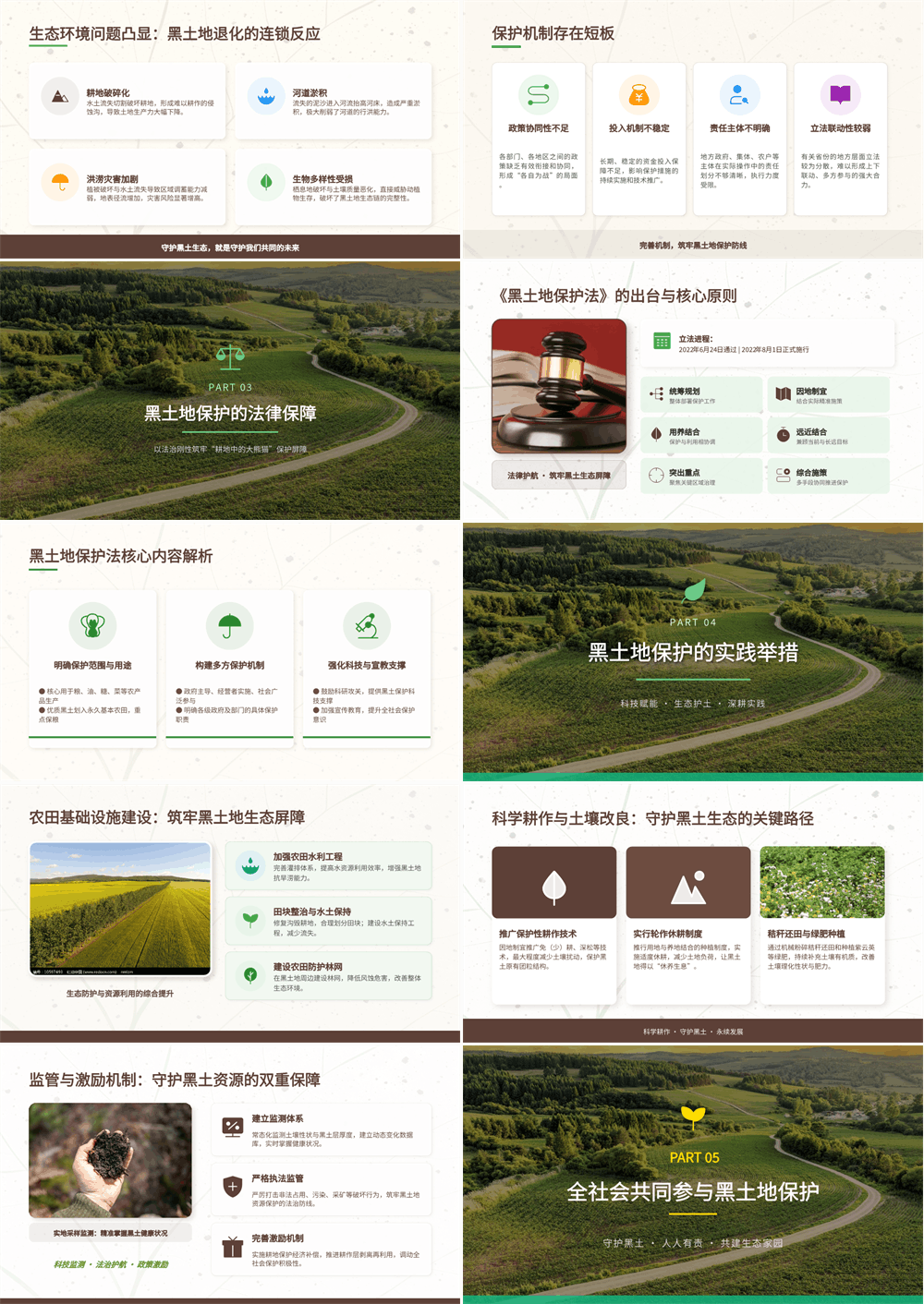 简洁大气黑土耕地保护守护“耕地中的大熊猫”PPT课件下载 第2张