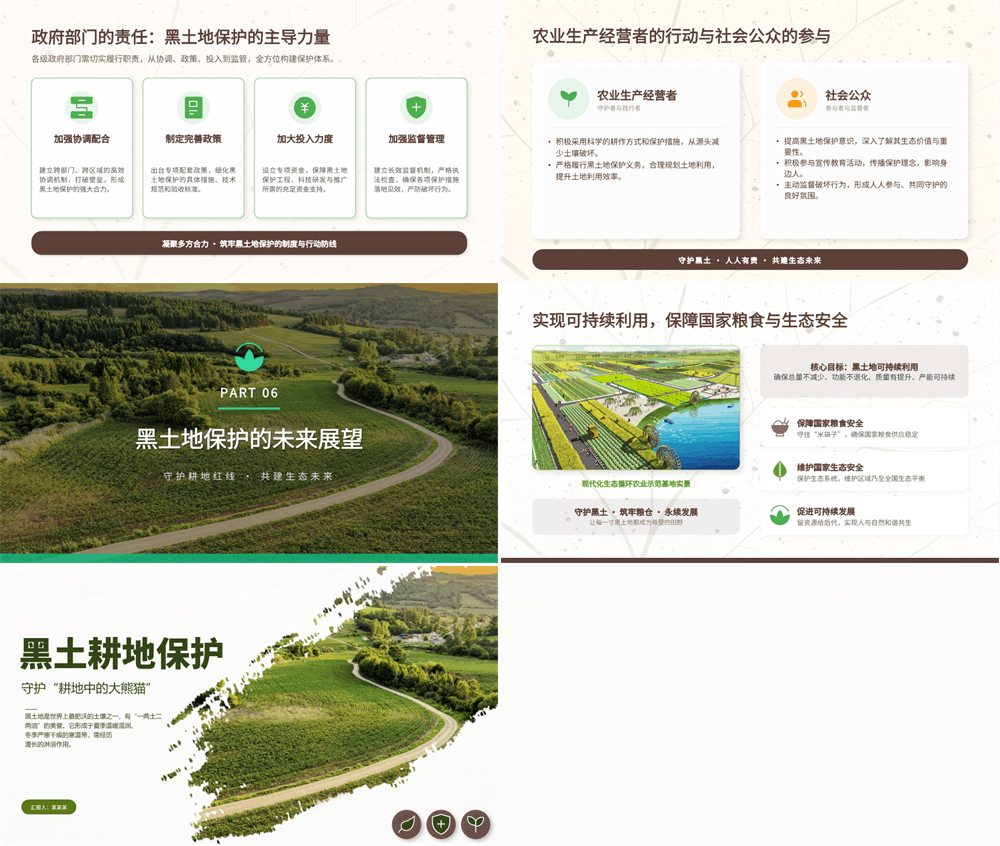 简洁大气黑土耕地保护守护“耕地中的大熊猫”PPT课件下载 第3张